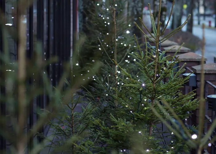 维赛特酒店别墅 3*